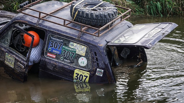 新秀崭露 新秀崭露