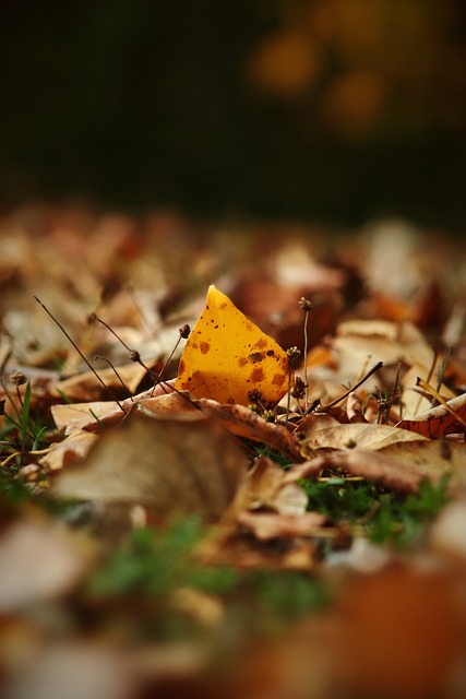 合作相结合 合作相结合